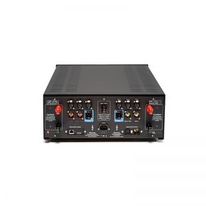 Vitus Audio RI-101 MKII - Imagen 3