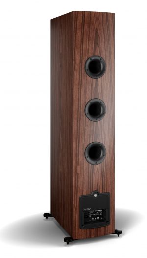 Audiogallery-dali_rubicon_8c_conectores-madera