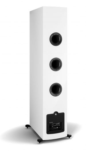 Audiogallery-dali_rubicon_conectores-blanco