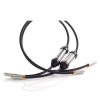 Audiogallery-destacada-productos-Shunyata-Interconexion-Alpha-v2-rca