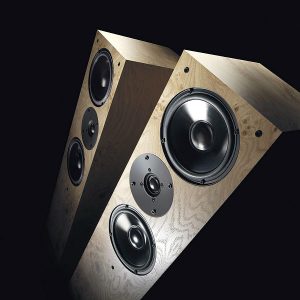 Living Voice IBX R III