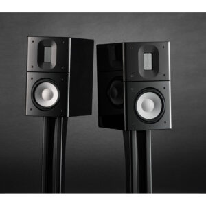 Raidho Acoustics X1.6