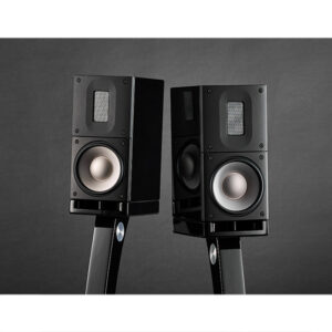 Raidho Acoustics X1t