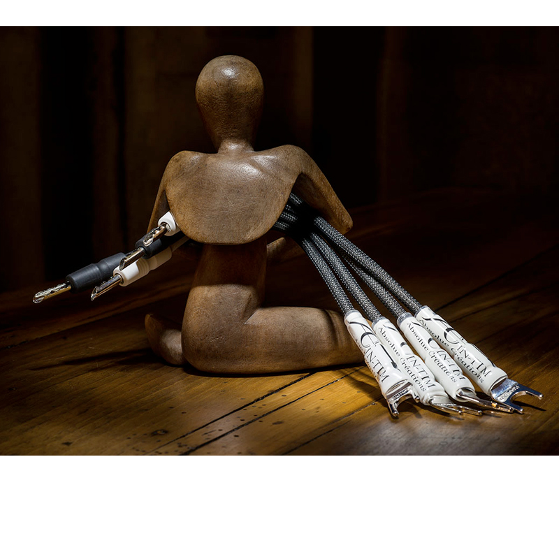 Absolue Creations TIM-REVOLUTION Strap