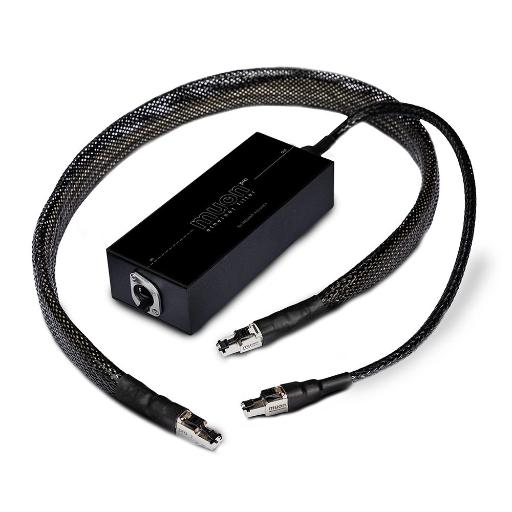 Network Acoustics Muon Pro Streaming System
