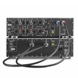 CH Precision P10 Phono Dual Mono - Imagen 2