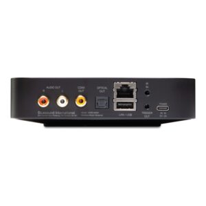 Bluesound Node Nano, panel trasero y conexiones