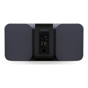 Bluesound Pulse 2i, panel trasero y conexiones