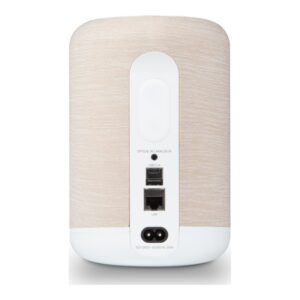 Bluesound Pulse Flex, panel trasero y conexiones