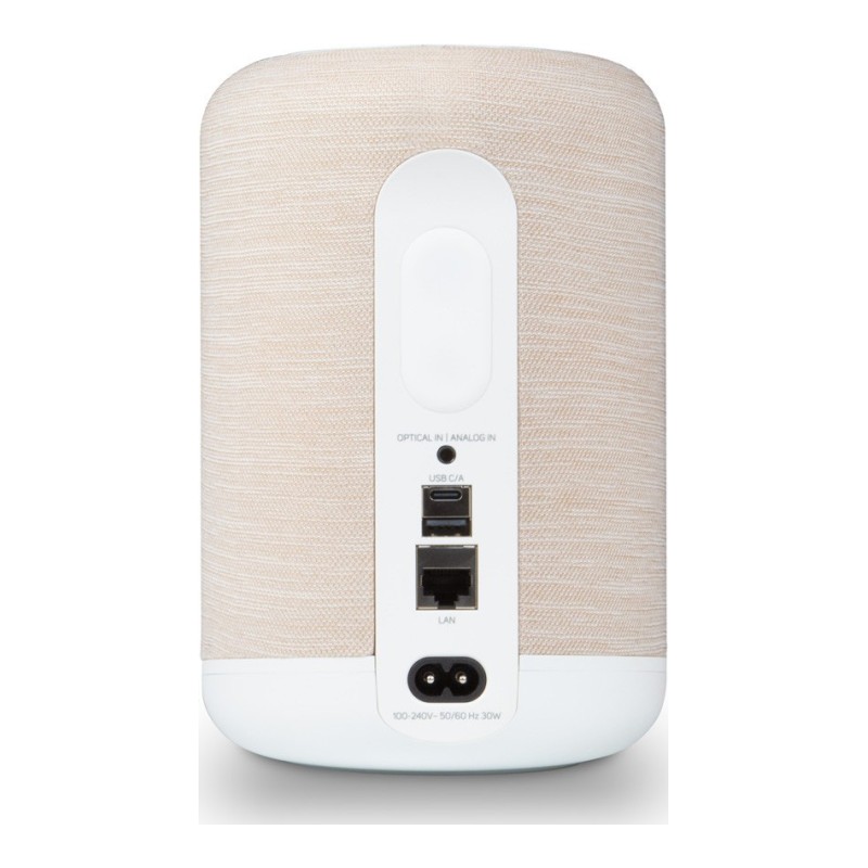 Bluesound Pulse Flex, panel trasero y conexiones