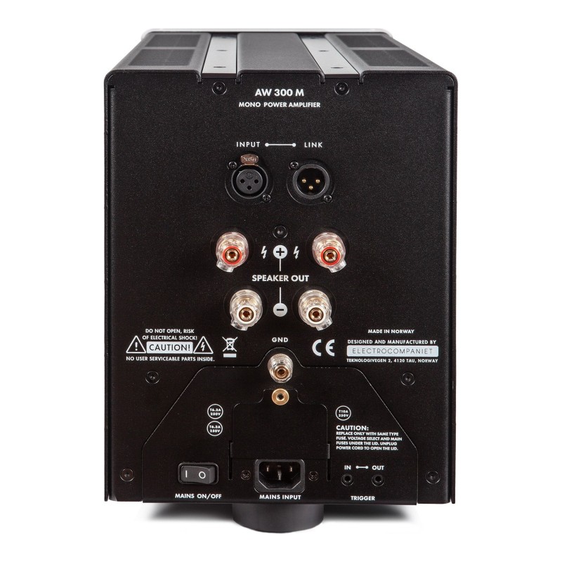 Electrocompaniet AW300M, detalle